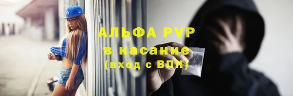 скорость Новозыбков