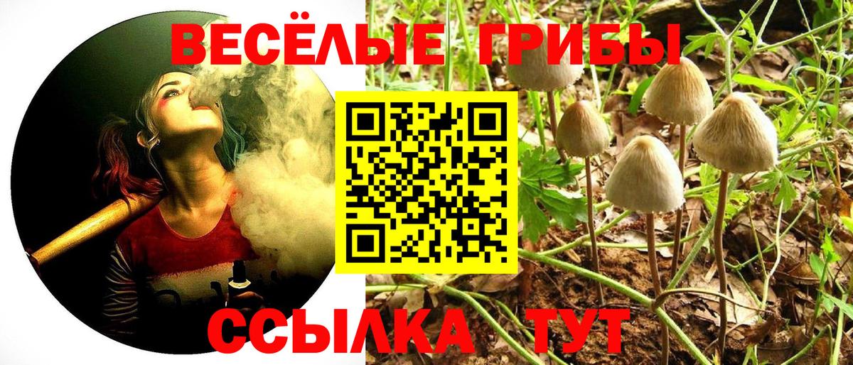 Галлюциногенные грибы Magic Shrooms Великий Новгород