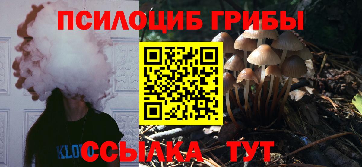 Великий Новгород  Псилоцибиновые грибы GOLDEN TEACHER  Вход с VPN  Псилоцибиновые грибы мухоморы 